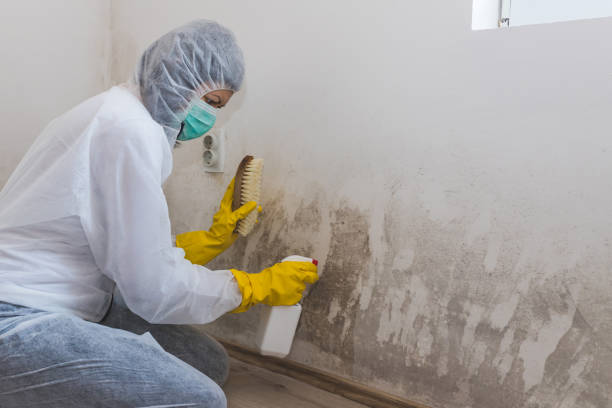 Water Damage Restoration in Ivanhoe, CA